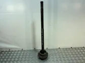 Rear driveshaft