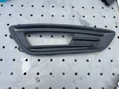 Front fog light trim/grill