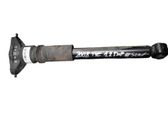 Rear shock absorber/damper