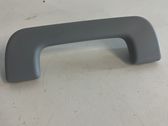 Front interior roof grab handle
