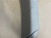 (C) pillar trim