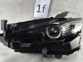Headlight/headlamp