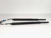Tailgate/trunk strut/damper