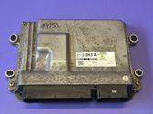Engine control unit/module ECU