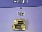 Engine control unit/module ECU