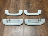 A set of handles for the ceiling