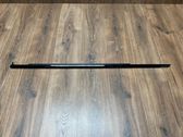 Front door trim (molding)