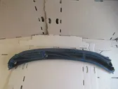 Wiper trim