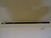 Rear door glass trim molding