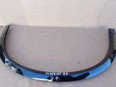 Fender trim (molding)