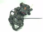Parking sensor (PDC) wiring loom