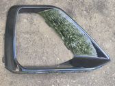 Verkleidung Nebelscheinwerfer / Gitter vorne