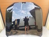 Engine bonnet/hood