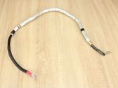 Wires (starter motor)