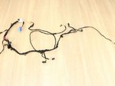 Other wiring loom