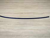 Roof trim bar molding cover