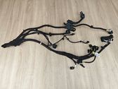 Gearbox/transmission wiring loom