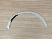 Fender trim (molding)