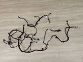 Positive wiring loom