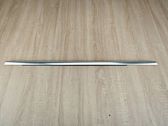 Rear door glass trim molding