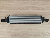 Intercooler radiator