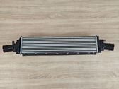 Intercooler radiator