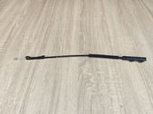 Engine bonnet/hood lock/catch