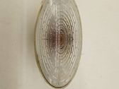 Front fender indicator light
