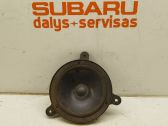 Rear door speaker