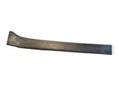 Listón embellecedor de la puerta delantera (moldura)
