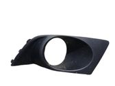 Front fog light trim/grill