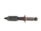 Stoßdämpfer hinten