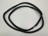 Trunk rubber seal (body)