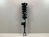 Front shock absorber with coil spring