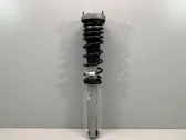 Rear shock absorber with coil spring