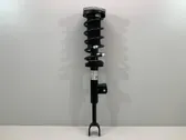 Front shock absorber with coil spring