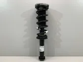 Rear shock absorber with coil spring