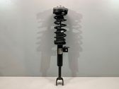 Front shock absorber with coil spring