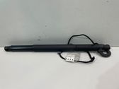 Tailgate/trunk strut/damper