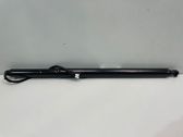Tailgate/trunk strut/damper