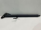 Tailgate/trunk strut/damper