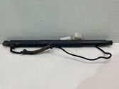 Tailgate/trunk strut/damper