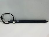 Tailgate/trunk strut/damper
