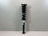 Rear shock absorber/damper
