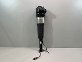 Rear shock absorber/damper