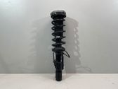 Front shock absorber with coil spring