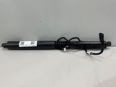Tailgate/trunk strut/damper