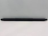 Tailgate/trunk strut/damper