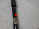 Rear shock absorber/damper