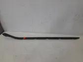 Windshield trim